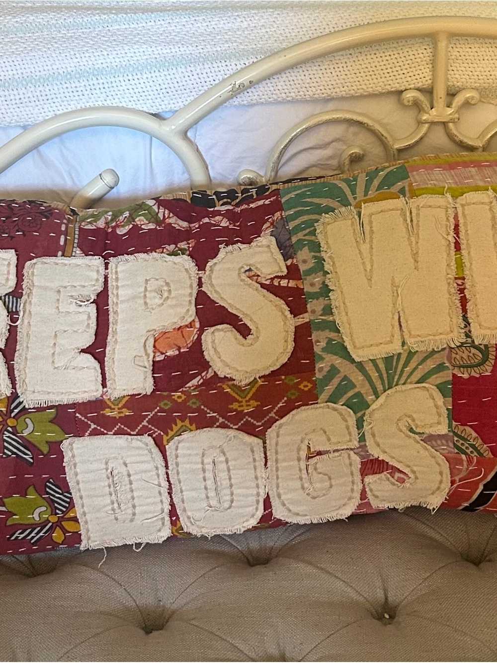 Sleeps With Dogs Pillow